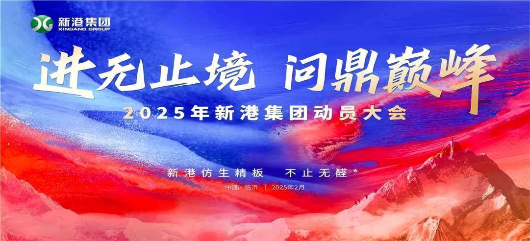 進無止境，問鼎巔峰！2025年新港集團動員大會成功召開！